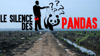 silence pandas
